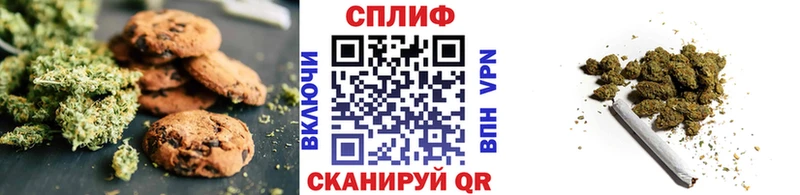 наркотики  мега как войти  Canna-Cookies конопля  Дмитриев 