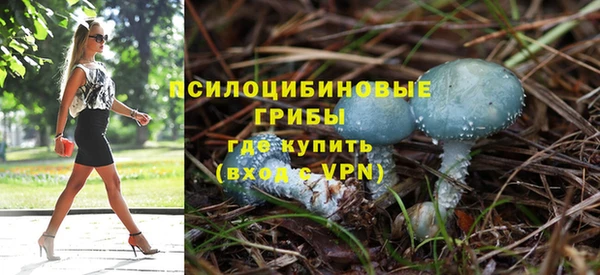 эйфоретик Верея