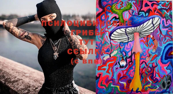 эйфоретик Верея