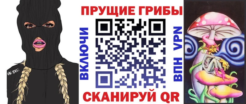 Галлюциногенные грибы прущие грибы  Дмитриев 